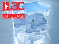 Интересная новость от языковой школы ILAC!