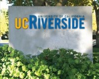 Обучение в США в Калифорнийском университете в Риверсайде University of California Riverside (UC Riverside)