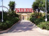 Мережа мовних шкіл Sprachcaffe пропонує програми вивчення іноземних мов для дітей та підлітків по всьому світу